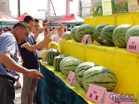  兰州·皋兰特色农产品推介展销会开幕