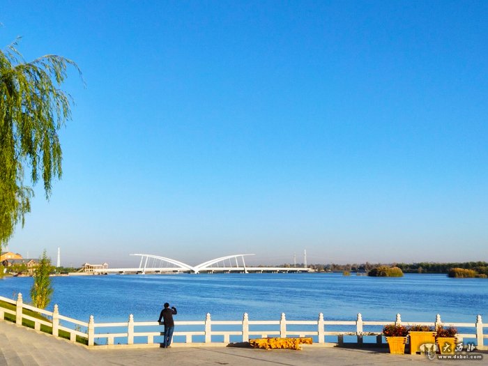 高台黑河湿地碧水映碧空