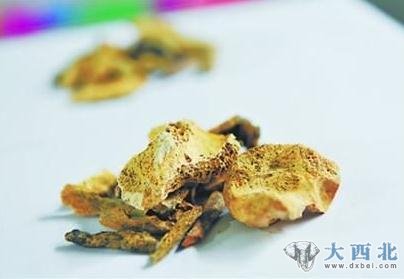 这些动物骨骼能够保存下来，都是因为被钙质侵入，已经变成了化石。 记者 金松 摄