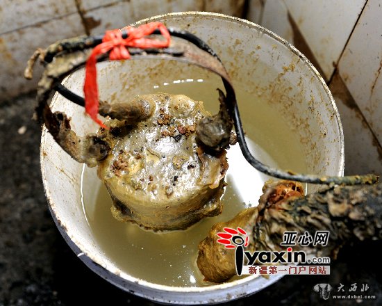 质监查处豆腐黑作坊遭哄赶  老人发火：你们违法给我出去