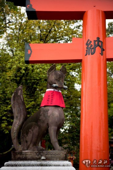 浪漫樱花祭 佳能5D Mark III日本行摄之旅 