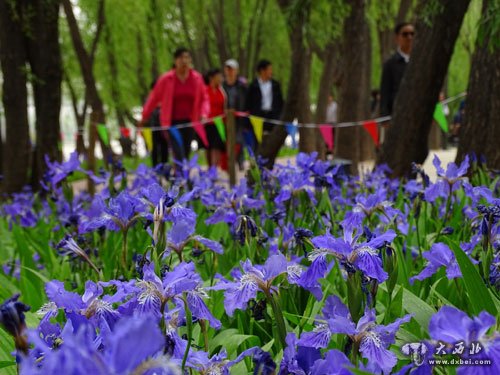 黄河步道景色美