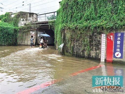 吞人涵洞”逢雨必淹,仍无法阻挡行人单车等通过。新快报记者 李辰曦 罗汉章/摄