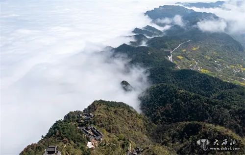 成县：鸡峰山云海如仙